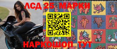 apvp Бийск
