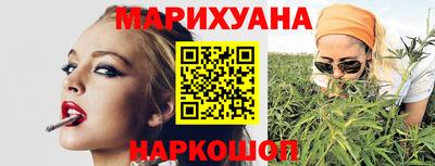 apvp Бийск