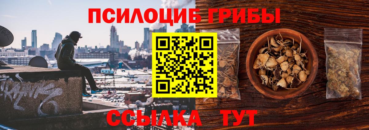 Псилоцибиновые грибы MAGIC MUSHROOMS  Вход с VPN  Воткинск 