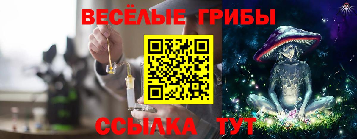 Галлюциногенные грибы GOLDEN TEACHER Воткинск